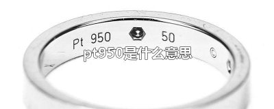 ​pt950是什么意思