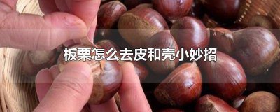 ​板栗怎么去皮和壳最方便视频 板栗怎么去皮和壳最方便的方法