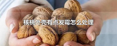 ​核桃外壳有点发霉怎么处理好 核桃外壳有点发霉怎么处理掉