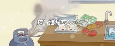 ​煤气泄漏怎么办视频教程 煤气泄漏怎么办视频讲解