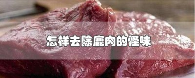 ​鹿肉怎样去掉膻味 如何去除鹿肉的膻味