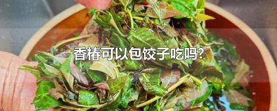 ​香椿可以包饺子吃吗? 香椿可以包饺子吃吗视频