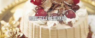 ​鸭蛋可以做蛋糕吗视频教程 鸭蛋可以做蛋糕吗视频讲解