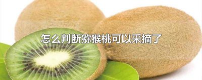 ​猕猴桃的采摘方法 猕猴桃采摘注意事项