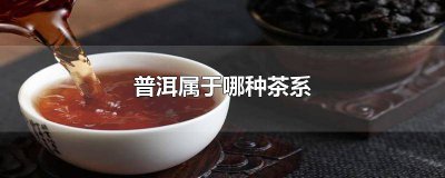 ​普洱茶属于啥茶类 普洱茶属于哪一类的茶