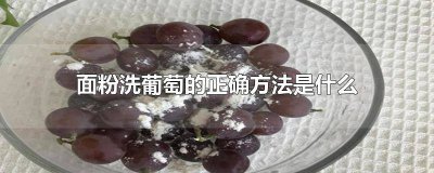 ​面粉洗葡萄的正确方法是什么 面粉洗葡萄的正确方法是什么样的