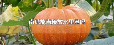 ​南瓜可以水煮吗 南瓜能不能水煮