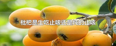​枇杷和什么煮止咳 生枇杷止咳吗