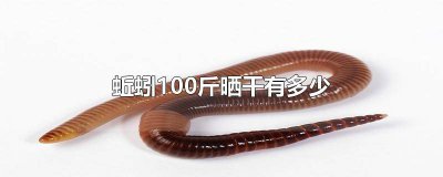 ​蚯蚓100斤晒干有多少斤 100斤蚯蚓能晒多少斤干的?
