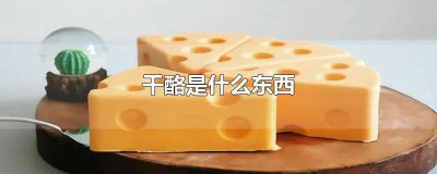 ​干奶酪是什么东西做成的 干酪是啥东西