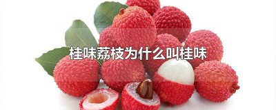 ​桂味荔枝为什么叫桂味荔枝 桂味荔枝为什么叫桂味