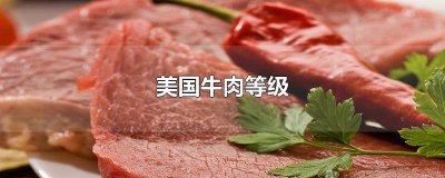 ​美国牛肉等级划分图片 美国牛肉等级划分图解