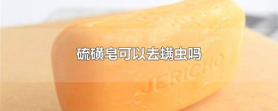 ​硫磺皂可以洗头发吗 脂溢性脱发 硫磺皂可以洗脸吗