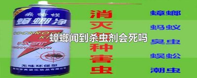 ​蟑螂闻到杀虫剂的味道会死吗 蟑螂闻到杀虫剂的反应