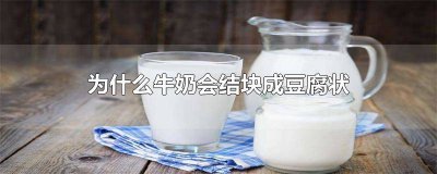 ​奶豆腐变质是什么样 牛奶变质成豆腐状还能喝吗有毒吗