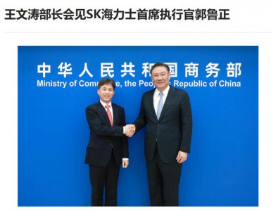 ​商务部部长王文涛会见 SK 海力士首席执行官郭鲁正