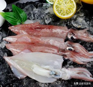 ​鱿鱼是鱼吗长什么样（大鱿鱼和小鱿鱼的区别有哪些）