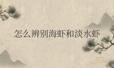 ​怎么辨别海虾和淡水虾图片