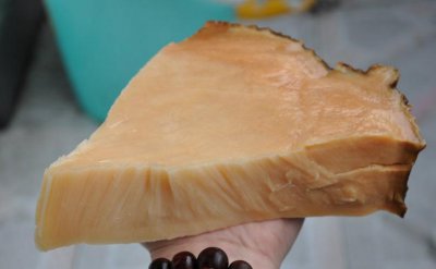 ​太岁到底是什么生物（太岁究竟是什么东西）