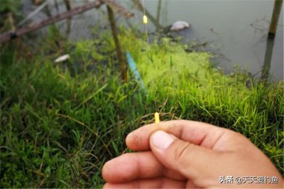 ​七星漂正确的调漂方法（使用七星漂的注意事项有哪些）
