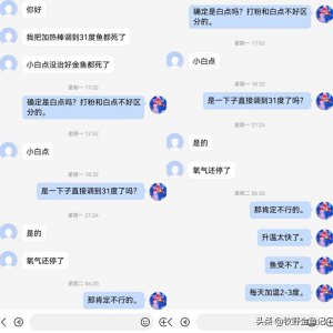​金鱼身上有白点怎么治（金鱼白点病的原因和治疗方法）