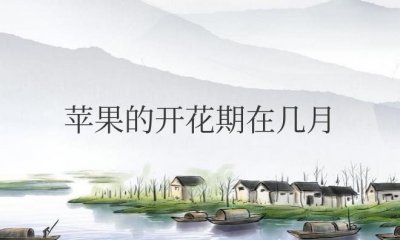 ​苹果的开花期在几月份开花