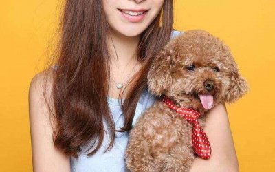 ​泰迪狗狗怎么训练才能听话（如何让你家的泰迪乖巧又听话）