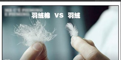 ​如何区别羽绒棉与羽绒的