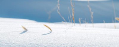 ​大雪纷飞的诗句