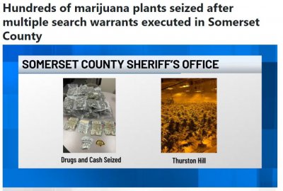 ​廖佳敏涉嫌种“草”被捕，纽约州等地有多处房产