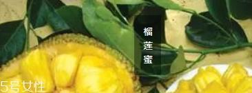 榴莲蜜和菠萝蜜的区别 榴莲榴莲蜜菠萝蜜傻傻分不清