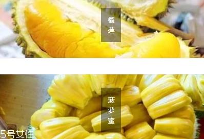 榴莲蜜和菠萝蜜的区别 榴莲榴莲蜜菠萝蜜傻傻分不清
