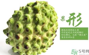 释迦什么人不能吃？释迦的禁忌