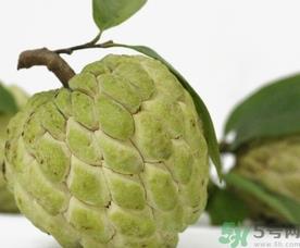 释迦什么人不能吃？释迦的禁忌