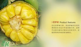 菠萝蜜和榴莲的区别 菠萝蜜和榴莲哪个好吃？