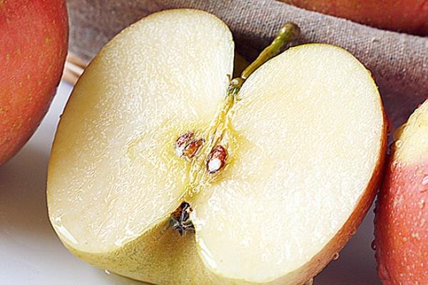 红富士苹果多少钱一斤 可以参考这个价格