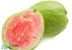 番石榴什么时候吃最好？番石榴什么季节吃最好