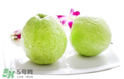 ​番石榴什么时候吃最好？番石榴什么季节吃最好