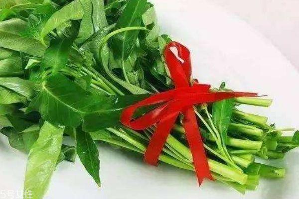 空心菜是什么菜呢 空心菜有什么功效吗