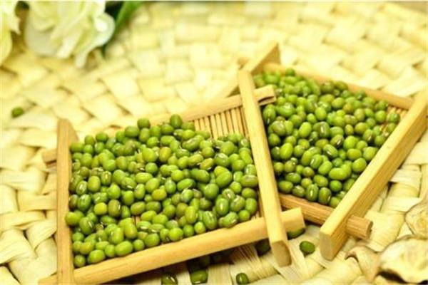 绿豆稀饭可以减肥吗 绿豆稀饭的好处