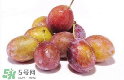 ​西梅可以放冰箱吗？西梅放冰箱冷藏还是冷冻？