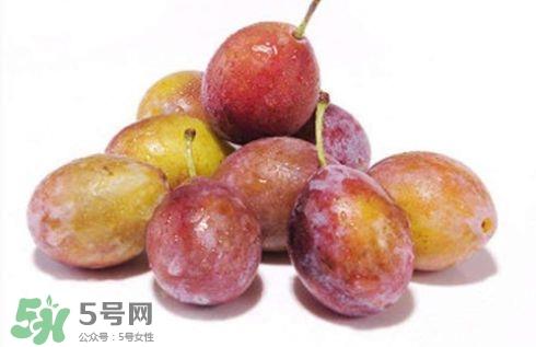 西梅可以放冰箱吗？西梅放冰箱冷藏还是冷冻？