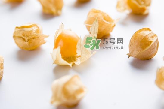菇娘是寒性还是热性？菇娘是哪里产的