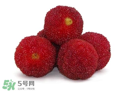 新鲜杨梅怎么保存得更长时间？新鲜杨梅能保存几天？