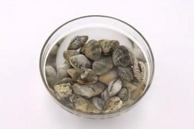 ​蛤蜊孕妇早期能吃吗 蛤蜊煮多久几分钟能熟