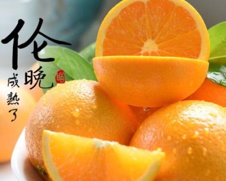 伦晚脐橙和夏橙哪个好？伦晚脐橙和其他橙子的区别