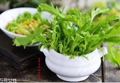 苦菊有哪些功效和作用？苦菊是属于菊花的一种