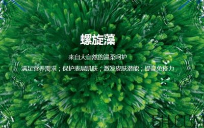 ​lantern兰亭是什么牌子？兰亭是哪个国家的什么档次