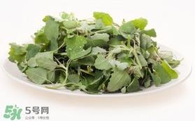 胃酸过多吃灰灰菜有好处吗？胃酸过多能吃灰灰菜吗