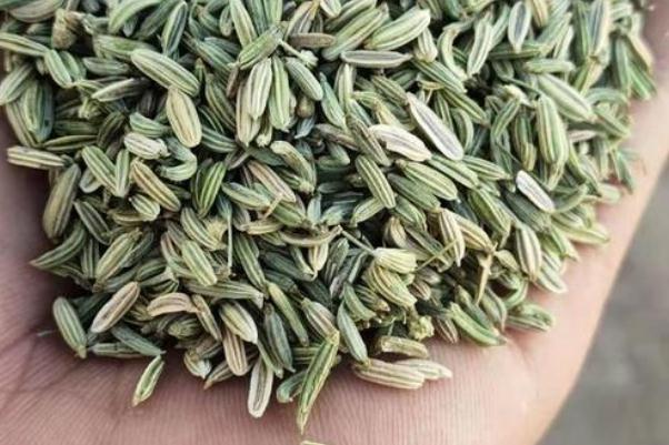 小茴香的热量 小茴香泡水喝一次多少的量